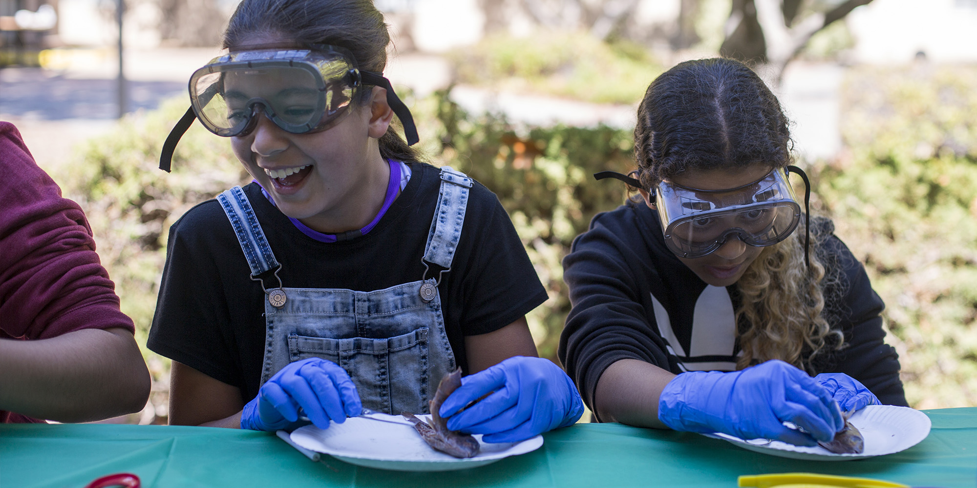 Marine Science Summer Camp for Middle School Students